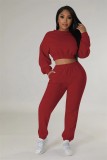 ZHEZHE Fall Winter 2023 Women Jogging Sweat Suit Set Custom Logo Plain Fleece Cropped  Women's Tracksuit Suit Sweatsuit Womens