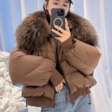 Detachable large raccoon fur collar short style popular winter new down jacket fur coat fur jackets bubble coats