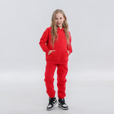 Children's clothing European and American trendy brand 350G plush thick children's hoodie autumn and winter cross-border children's set wholesale