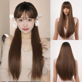 Wholesale of cross-border new Qi Liu Hai gradient gray long straight hair, chemical fiber high-temperature silk, European and American wig headbands