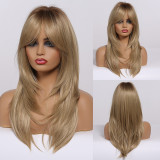 Popular European and American styles with a gradient golden eight shaped bangs on the top and slightly curled high-temperature silk at the tail. Multiple colors are available for wigs for women
