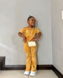 European and American Foreign Trade Children's Clothing Set New Instagram Style Children's Clothing Girl's Set Gold Velvet Short Sleeve Set