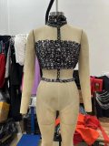 Cross border hot selling European and American celebrity sexy rhinestone neckband top, nightclub birthday party clothing