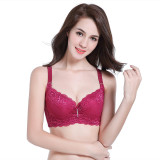 Clearance Special Price Lace Sexy Adjustment Large Size Bra Popular in Foreign Trade with Steel Rings Gathering Thin Women's Underwear