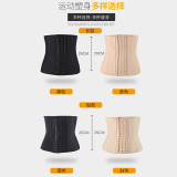 Waist Trainer Sports Waist and Abdominal Belt Latex Belt 9 Steel Bone Rubber Belt 24cm 30cm