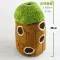 35cm large tree hole