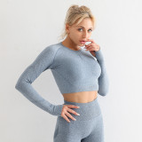 Source manufacturer cross-border European and American internet celebrity seamless long sleeved high elasticity sports long sleeved fitness suit yoga top for women