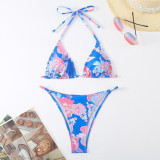 European and American New Digital Printed Sexy Swimsuit Women's Split Bikini AliExpress Foreign Trade Multi color Bikini