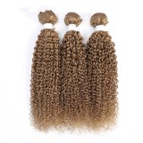Cross border wig color hair bundle 10A95g small curly hair curtain Kinky Curly human hair bundle