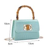 Internet celebrity acrylic cross body crocodile patterned bamboo joint jelly package for foreign trade wholesale