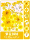 Ins transparent bottle sticker DIY dry flower Spring bookmark student kids baby creative plant embossing children's handmade specimen making film