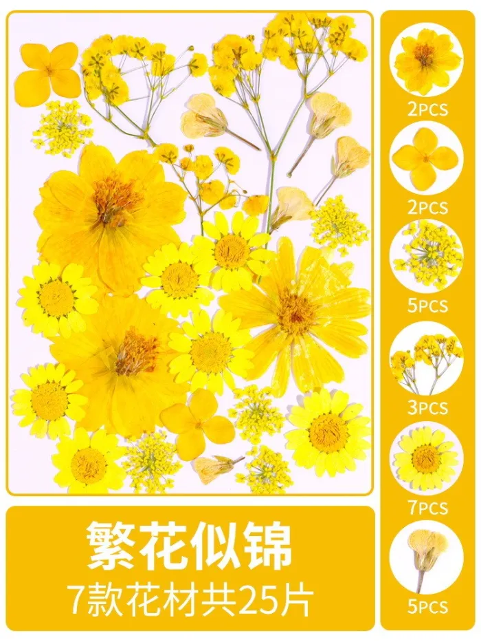 Ins transparent bottle sticker DIY dry flower Spring bookmark student kids baby creative plant embossing children's handmade specimen making film
