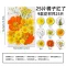 DIY dry Plant as photo total 25 pcs