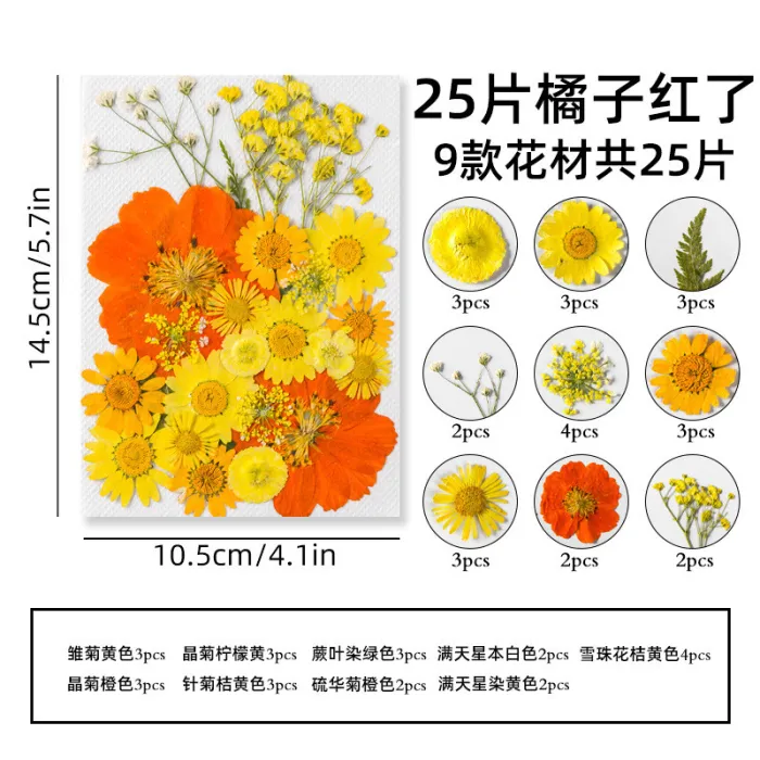 Ins transparent bottle sticker DIY dry flower Spring bookmark student kids baby creative plant embossing children's handmade specimen making film