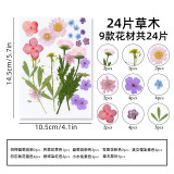 Ins transparent bottle sticker DIY dry flower Spring bookmark student kids baby creative plant embossing children's handmade specimen making film