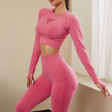 Amazon Cross border Fitness and Sports Yoga Suit High Waist and Hip Lifting Tight Fitness Pants European and American Seamless Yoga Suit Set