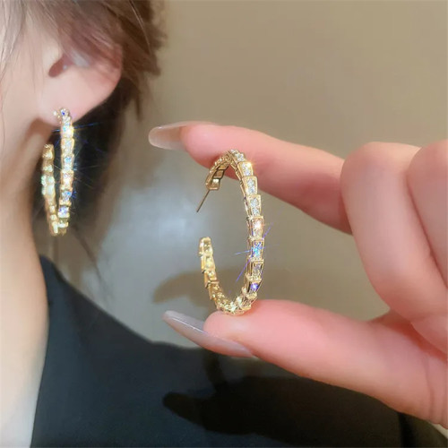 Design fashion snake-shaped zircon earrings women's hip hop fashion shiny diamond ring-shaped 925 silver needle earrings