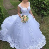 New Foreign Trade Wedding Dress Wedding Dress Vintage Lace Wedding Dress V-neck, Bra, Open Back, Sexy Tail Wedding Dress