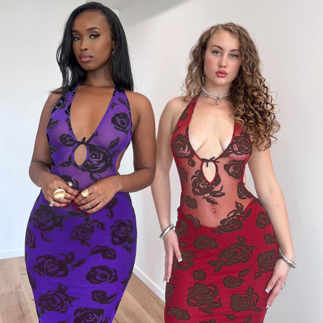 Floral Printed Women Long Maxi Dress Sleeveless Halter Neck Bodycon Dresses 2024 Summer Sexy See Through Night Club Vestidos