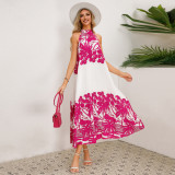 Cross border European and American foreign trade women's standing collar sleeveless pleated printed skirt loose A hem long skirt explosive dress