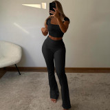 Summer New Pit Stripe U-Neck Short Sleeve Flipped Pants Two Piece Set for Women
