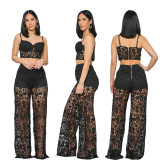 Sexy lace popular fashion set