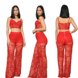 Sexy lace popular fashion set