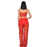 Sexy lace popular fashion set