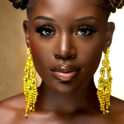 Fashionable geometric rhinestone tassel earrings with exaggerated personality