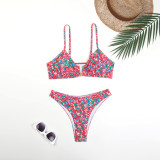 Women's swimsuit two-piece printed metal U-shaped bikini swimsuit