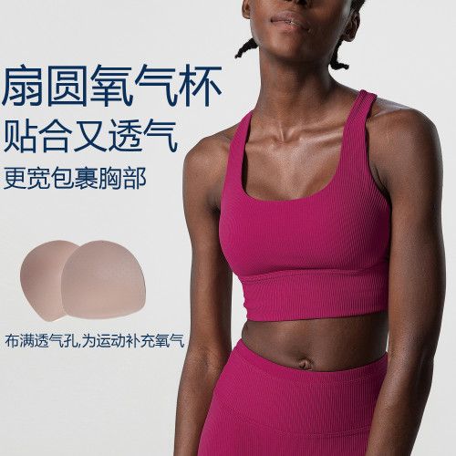 Sports Bra Large Yoga Fitness Bra Tank Top