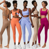 Seamless fixed cup sports bra two-piece set with splicing thread yoga suit set