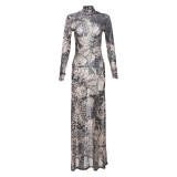 High neck fashionable personalized mesh printed see through slim fit dress