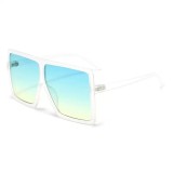 XHY2 Sunglasses Sunnies Shades LS1702 BY011