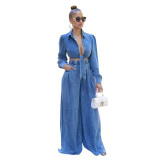 TS1314 new women's casual wide leg denim suit