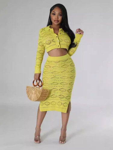 Sexy Knitted Hand Hook Pattern Casual Skirt Set