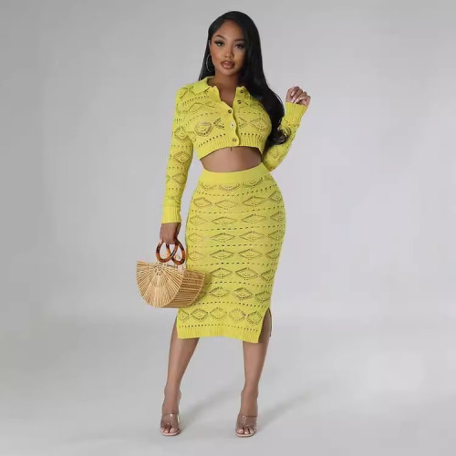 Sexy Knitted Hand Hook Pattern Casual Skirt Set