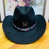 Cowboy hat, top hat, sun hat