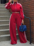 2 Piece Sets Women Outfit Fall Clothes 2024 Women Side Striped Zip Top Wide Leg Pant Sets Casual Tracksuits Set Women Sweat Suit