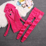 Juicy Lovers Brand Spring Autumn Women Sporting Suits Slim Fashion Velvet Women Tracksuits Hooded Collar Jogging Sportswear suit
