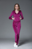 Juicy Lovers Brand Women Sporting Suits Black Pink Purple Gray pleuche outdoor Casual Tracksuits Hooded Collar Sportswear suit