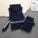 Juicy Lovers Brand Autumn Women Sporting Suits Outdoor Velvet Casual Womens Tracksuits Hooded Collar Jogging Sportswear suit