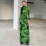 2024 New women's personalized and fashionable printed semi high neck long sleeved slimming mesh dress