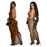 C6982 Cross-border express Amazon independent station European and American fashion women's wild leopard color dress long skirt