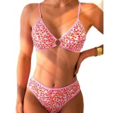 2025 new bikini cross-border European and American foreign trade small floral triangle cup sexy bikini swimsuit women