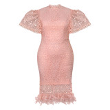 AM040325 European and American foreign trade women's dress large size lace half high neck bubble sleeves elegant wind bag hip dress