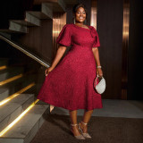 AM040856 AliExpress Europe and the United States cross-border jacquard dress plus-size fashion party banquet A-line dress