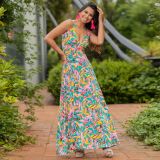 2025 spring and summer cross-border fashion women's dress Amazon new strap V-neck print elegant A swing dress