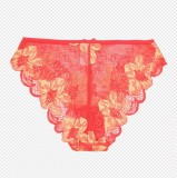 Best-selling Women's Lace Underwear Sexy Nifty Underwear Seamless Women's Underwear Low-rise Women Invisible Breathable Bikini