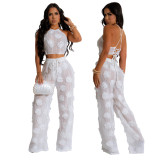 CY901294 European and American foreign trade lace-up short blouse with loose slim trousers solid color perspective two-piece set women